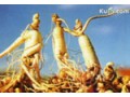 四川天丹医药生物科技有限公司向您讲述胶囊外壳不得不说的秘密 (90播放)